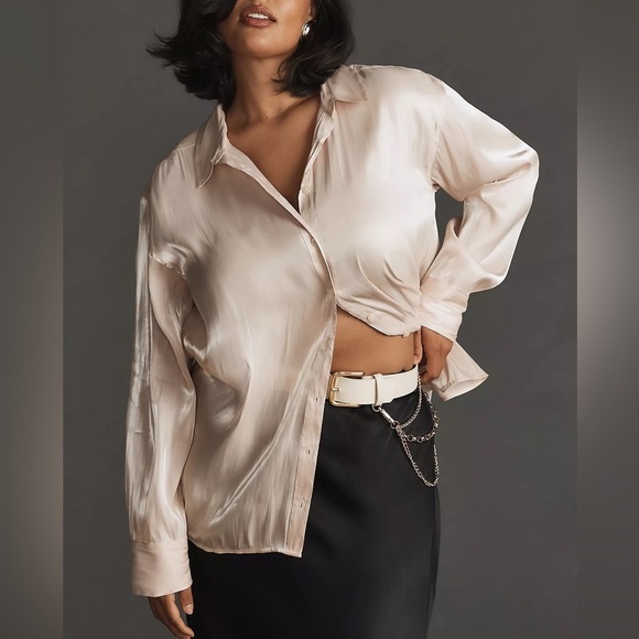 NWT By Anthropologie Silky Iridescent Buttondown Shirt - Picture 5 of 11